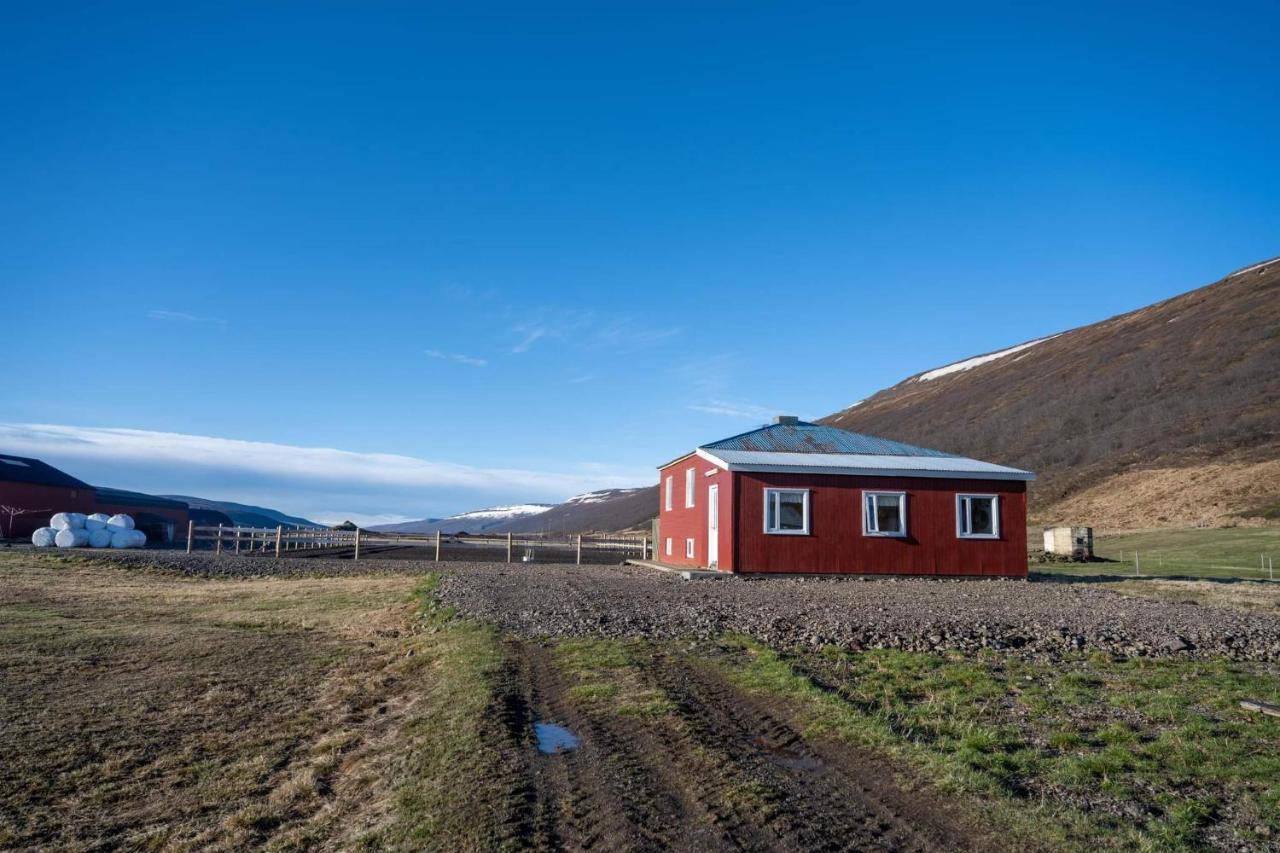 Sandhaugar Guesthouse Kiðagil Eksteriør billede