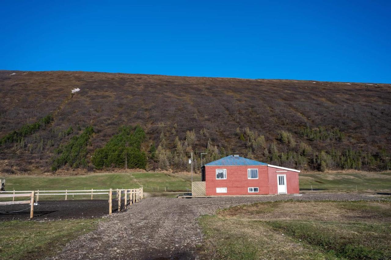 Sandhaugar Guesthouse Kiðagil Eksteriør billede