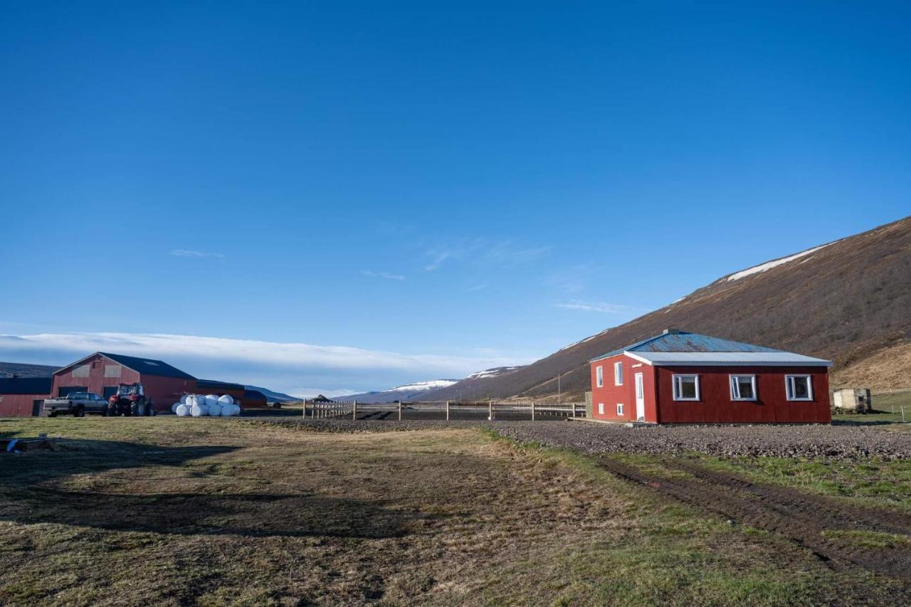 Sandhaugar Guesthouse Kiðagil Eksteriør billede